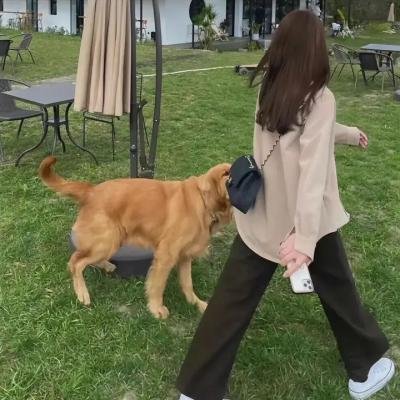 杀人影子